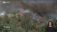 Risco extremo de incêndios florestais na Madeira na próxima semana (vídeo)