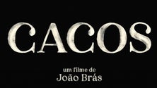Imagem de Madeirense brilha na sétima arte (áudio)