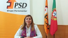 Imagem de PSD volta a lembrar os assuntos pendentes relacionados com a Madeira (áudio)