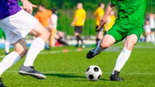 Imagem de Governo e Federação Portuguesa de Futebol equacionam o regresso das Ligas (Vídeo)