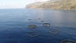 Jaulas de aquacultura na Ponta do Sol vão ficar desviadas da frente mar