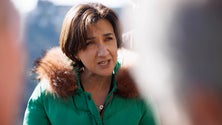 Imagem de Ministra da Agricultura ouvida hoje na AR para esclarecer polémica Carla Alves