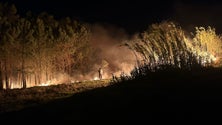 Imagem de Populares juntam-se para combater o incêndio na Calheta (vídeo)