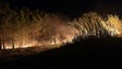 Imagem de Populares juntam-se para combater o incêndio na Calheta (vídeo)