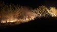 Populares juntam-se para combater o incêndio na Calheta (vídeo)