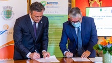 Imagem de Funchal vai rever taxas para incentivar investimento no setor agrícola