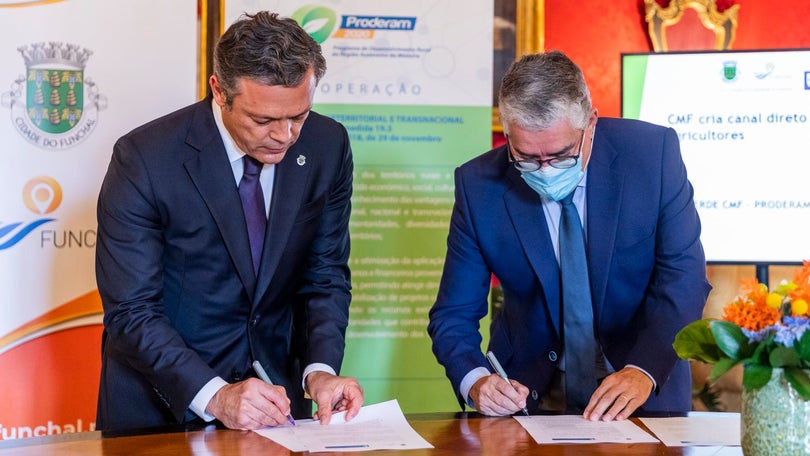 Imagem de Funchal vai rever taxas para incentivar investimento no setor agrícola