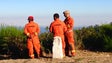 Imagem de Ordem dos Engenheiros Técnicos propõe a criação de Cadastro da Propriedade Rústica para a prevenção dos incêndios florestais