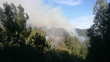 Imagem de Fogo continua a consumir zonas altas da Ribeira Brava