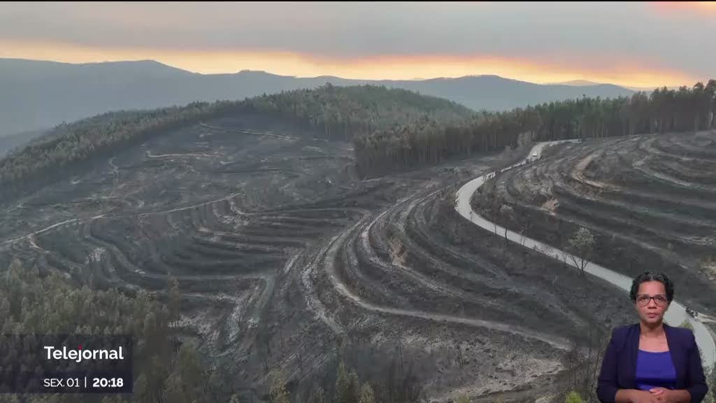 rea ardida este ano aproxima-se dos 30 mil hectares