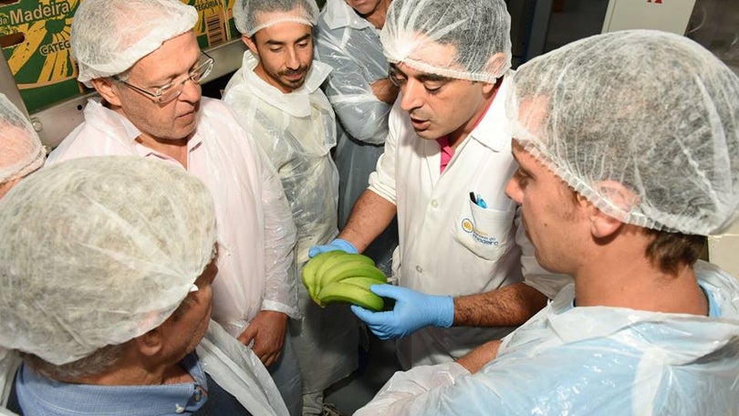 Imagem de Escola Agrícola abre novos cursos de produção regional