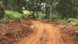 Imagem de Governo da Madeira limpa 180 quilómetros de caminhos florestais