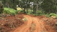 Governo da Madeira limpa 180 quilómetros de caminhos florestais