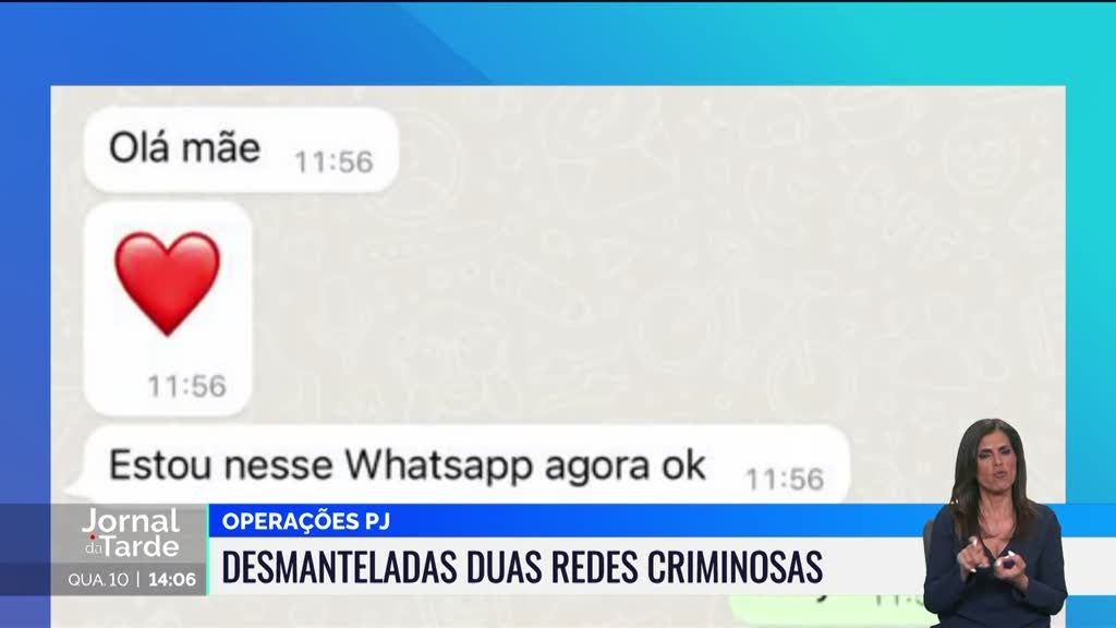 PJ desmantela mais duas redes criminosas que atuavam em Portugal