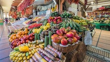 Imagem de Câmara acusa ARAE de perseguição aos comerciantes do Mercado dos Lavradores (Vídeo)
