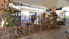 Imagem de Há 10 espaços a concurso público no Mercado da Ribeira Brava (Vídeo)