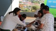 Imagem de Mais de 300 animais foram vacinados no Funchal (áudio)