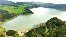 Imagem de Falhou projeto de reflorestação nas Furnas (Vídeo)