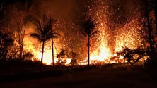 Imagem de Número de vítimas mortais nos incêndios do Havai sobe para 106 (vídeo)