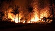 Imagem de Número de vítimas mortais nos incêndios do Havai sobe para 106 (vídeo)