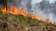 Imagem de Mais de 30 concelhos de sete distritos em risco máximo de incêndio