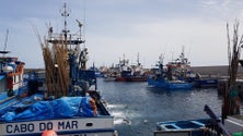 Imagem de Pescadores do Caniçal capturaram pouco atum nos Açores (Vídeo)