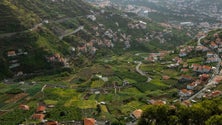 Imagem de Caminho agrícola da Caldeira inaugurado (áudio)