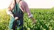 Jovens agricultores podem candidatar-se até setembro a ajudas no valor global de 2 ME