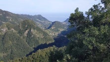 Casa do Povo de S. Roque do Faial realiza sessão de recolha de lixo na levada dos Balcões (áudio)