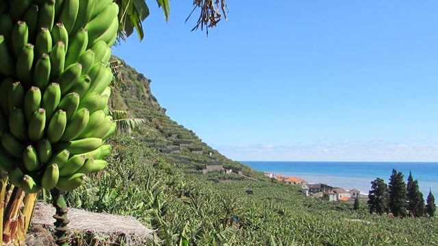 Imagem de 4,5 M€ pagos a mais de 10 mil agricultores