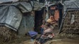 Imagem de Cruz Vermelha alerta para agravamento da crise humanitária na RD Congo