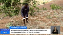 Açores apoia Cabo Verde no reforço de competências técnicas da agricultura [Vídeo]