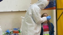 Imagem de Madeira fez quase meio milhão de testes