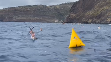 Imagem de Canoagem do mar reuniu oitenta canoístas (vídeo)