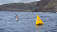 Imagem de Canoagem do mar reuniu oitenta canoístas (vídeo)