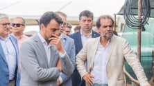 Imagem de Albuquerque assume que setor primário tem relevância na economia madeirense (áudio)