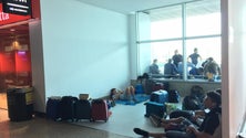 Imagem de Defesa do Consumidor recebeu apenas 10 pedidos de informação quando o aeroporto esteve condicionado