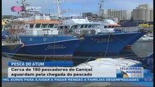 Imagem de Atum já começou a aparecer nos mares da Madeira