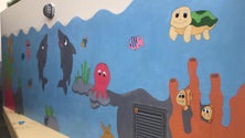 Imagem de Associação Juvenil de Medicina pinta mural solidário (vídeo)