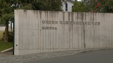 Imagem de Eleições na Ordem dos Engenheiro (áudio)