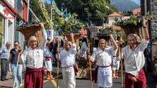 Imagem de Centenas de pessoas na Festa do Vinho do Estreito