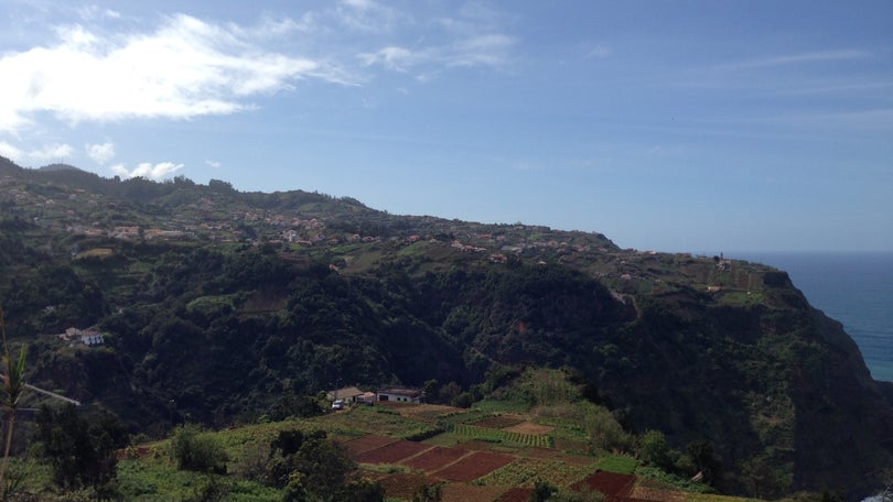 Madeira quer reavaliar apoios comunitários para setor agropecuário