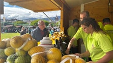 Expotropical junta frutos e sabores de 36 expositores (vídeo)