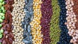 Imagem de Alimentos ricos em fibras, proteínas e água ajudam a saciar a fome