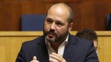 Imagem de PS acusa o Governo Regional de falhar na criação da faixa florestal (áudio)