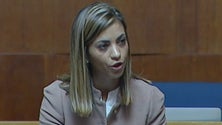 Imagem de PSD enaltece conservação da natureza na Madeira e Porto Santo (vídeo)