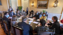 Imagem de Reuniões de câmara online (áudio)