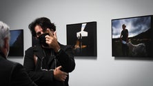 Imagem de Exposição de Rui Caria na Carmina Galeria (Vídeo)
