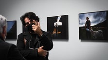 Exposição de Rui Caria na Carmina Galeria (Vídeo)