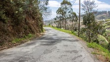 Imagem de Câmara de Lobos repavimenta 5km de vias municipais